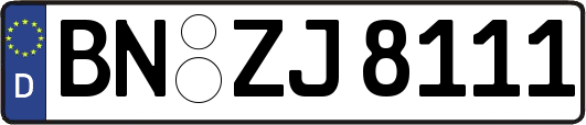BN-ZJ8111