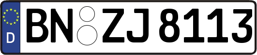 BN-ZJ8113