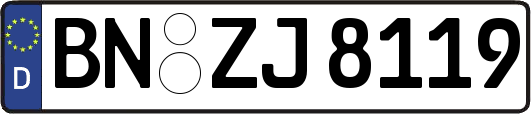 BN-ZJ8119
