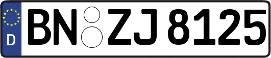 BN-ZJ8125