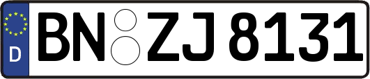 BN-ZJ8131