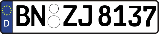 BN-ZJ8137