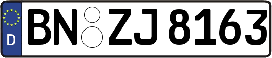 BN-ZJ8163
