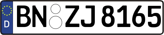 BN-ZJ8165