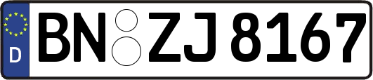 BN-ZJ8167