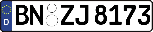 BN-ZJ8173