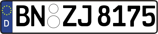 BN-ZJ8175