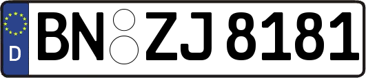 BN-ZJ8181