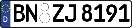 BN-ZJ8191