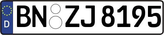 BN-ZJ8195