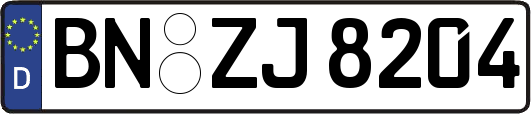 BN-ZJ8204