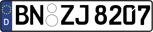 BN-ZJ8207