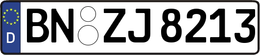 BN-ZJ8213