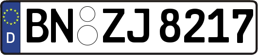 BN-ZJ8217