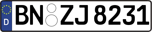 BN-ZJ8231