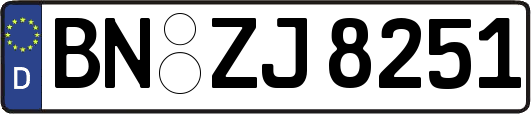BN-ZJ8251