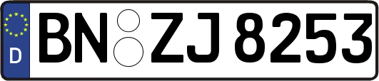 BN-ZJ8253