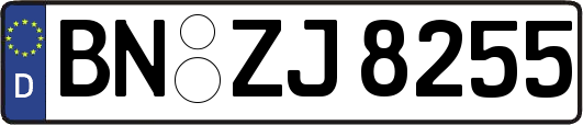BN-ZJ8255