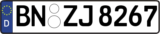 BN-ZJ8267