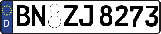 BN-ZJ8273