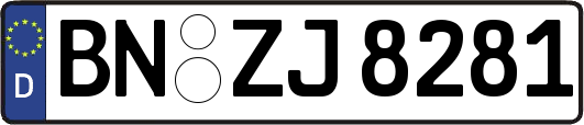 BN-ZJ8281