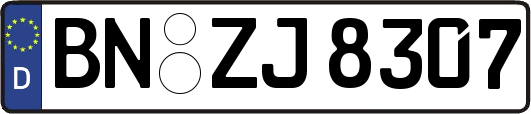 BN-ZJ8307