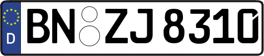 BN-ZJ8310