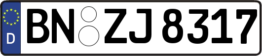 BN-ZJ8317