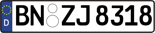 BN-ZJ8318