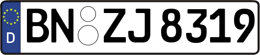 BN-ZJ8319
