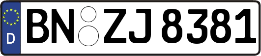 BN-ZJ8381