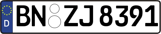 BN-ZJ8391