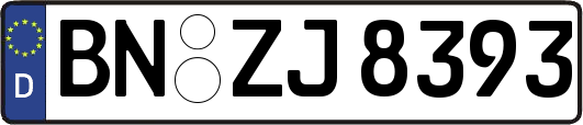 BN-ZJ8393