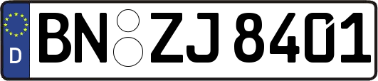 BN-ZJ8401