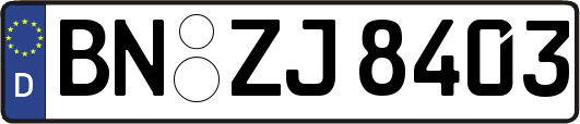 BN-ZJ8403