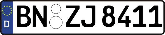 BN-ZJ8411