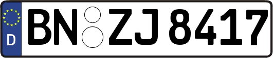 BN-ZJ8417