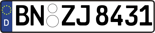 BN-ZJ8431