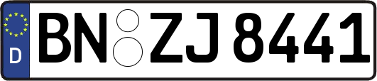 BN-ZJ8441