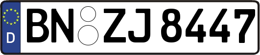 BN-ZJ8447