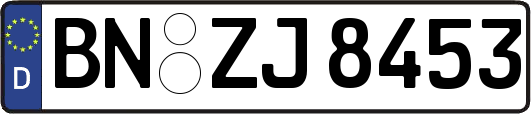 BN-ZJ8453