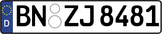 BN-ZJ8481