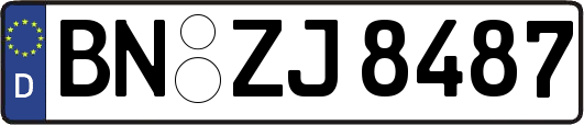 BN-ZJ8487