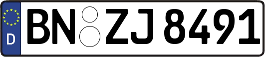 BN-ZJ8491