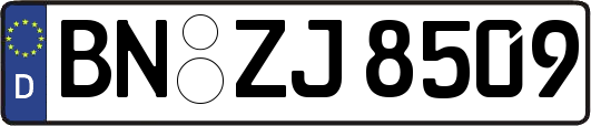 BN-ZJ8509
