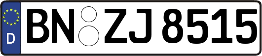BN-ZJ8515