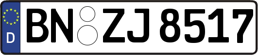 BN-ZJ8517