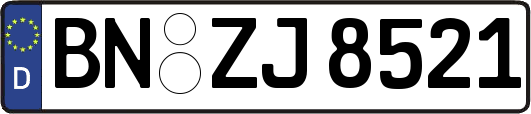 BN-ZJ8521
