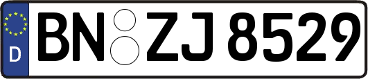 BN-ZJ8529
