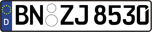 BN-ZJ8530